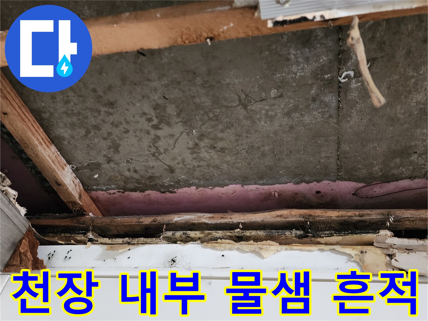 천장-내부-습기-및-곰팡이-흔적