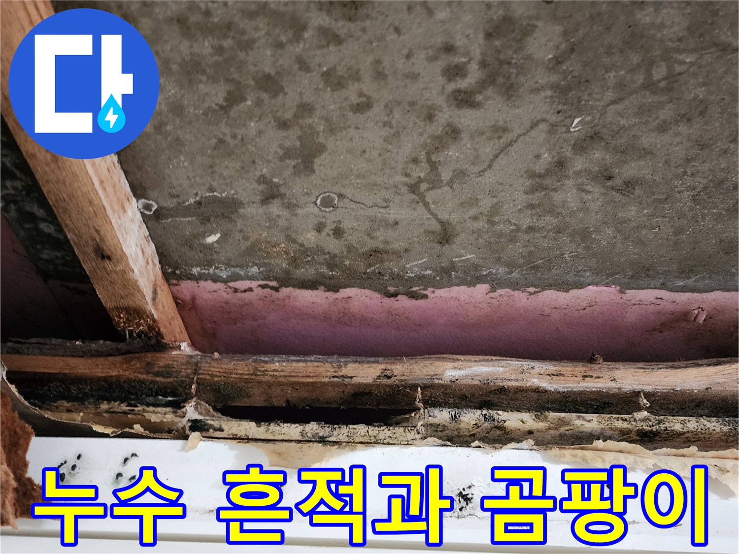천장-내부의-심한-습기-및-곰팡이-흔적