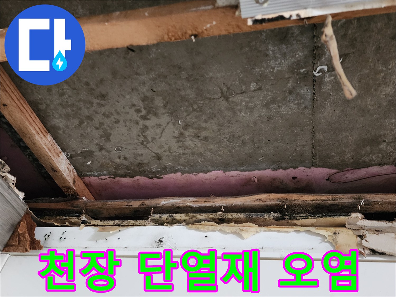 천장-단열재-및-목재-오염-상태