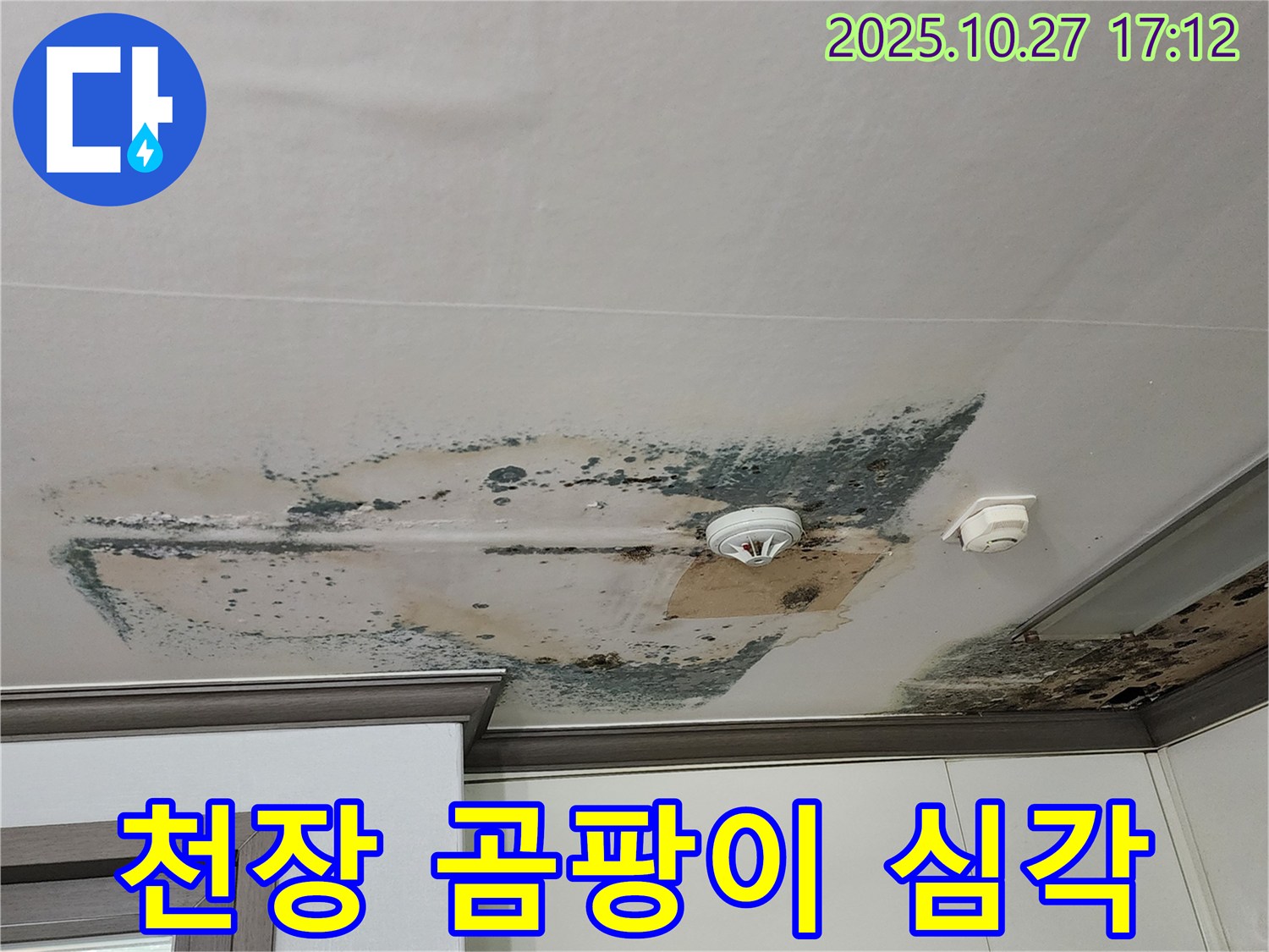 회천2동 아파트 천장 누수 - 곰팡이 오염 심각 단계