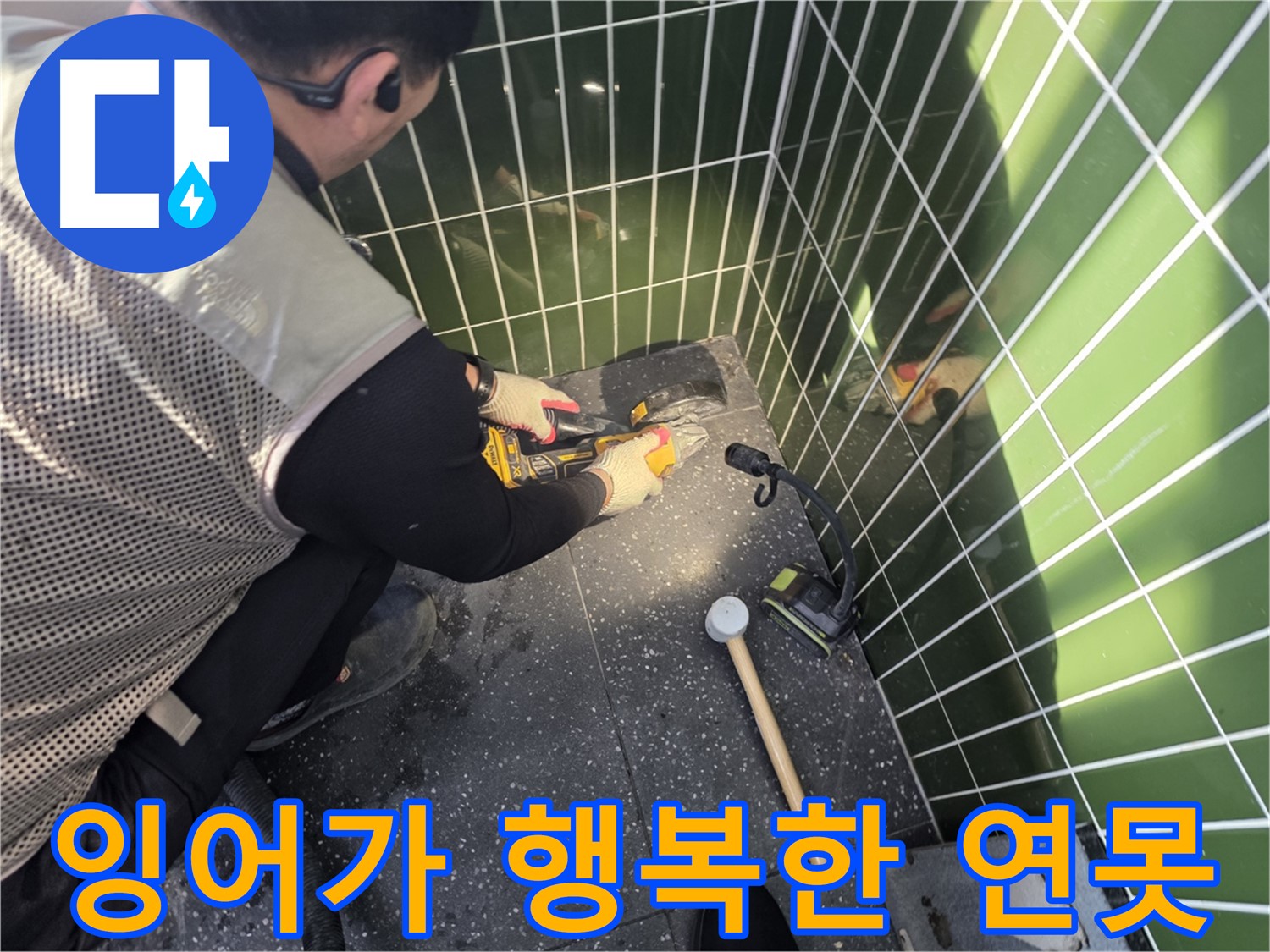 연못 누수 해결 - 잉어가 행복한 공간으로
