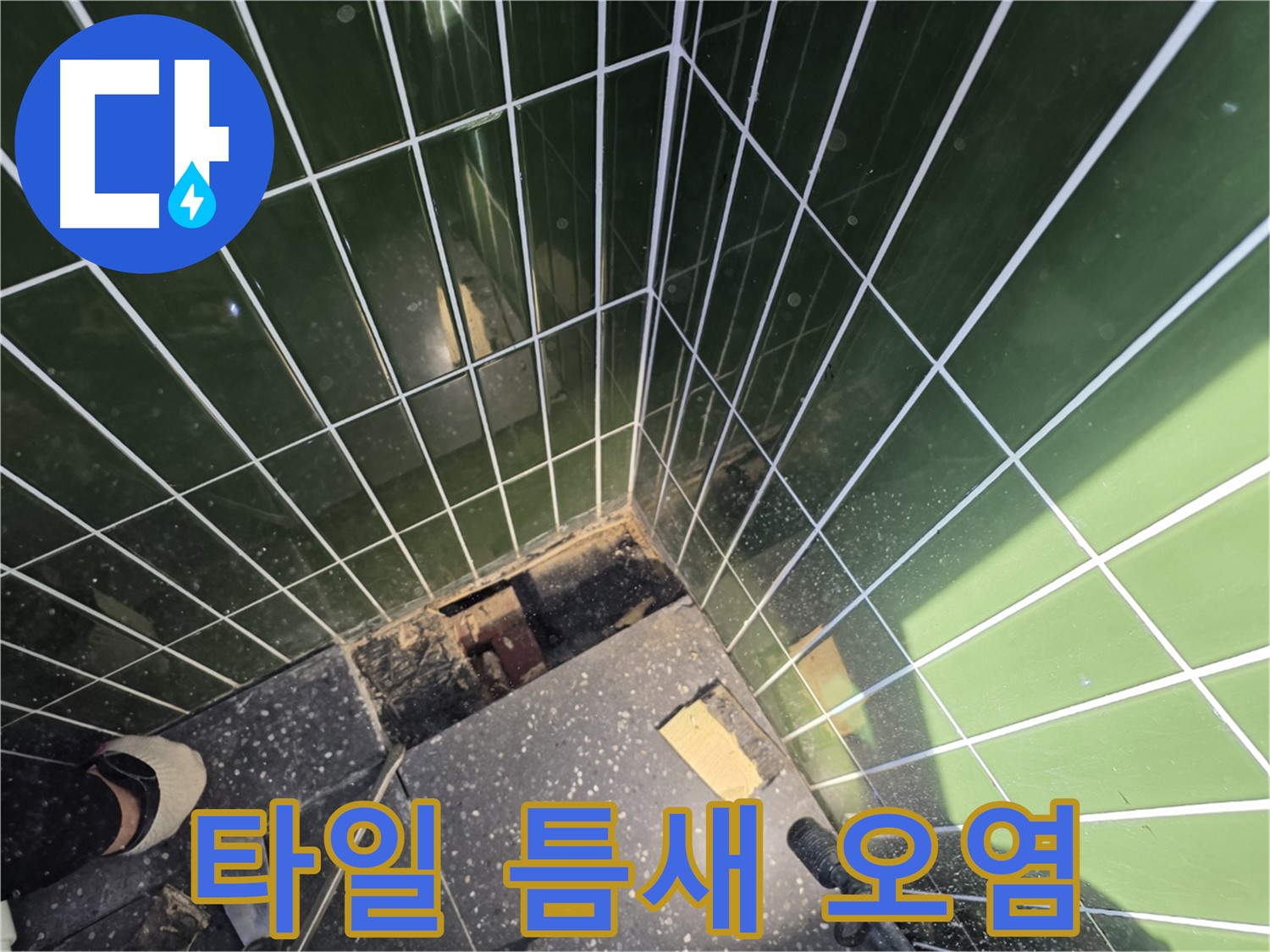 광진구 자양동 누수 - 타일 틈새 오염 상태 확인
