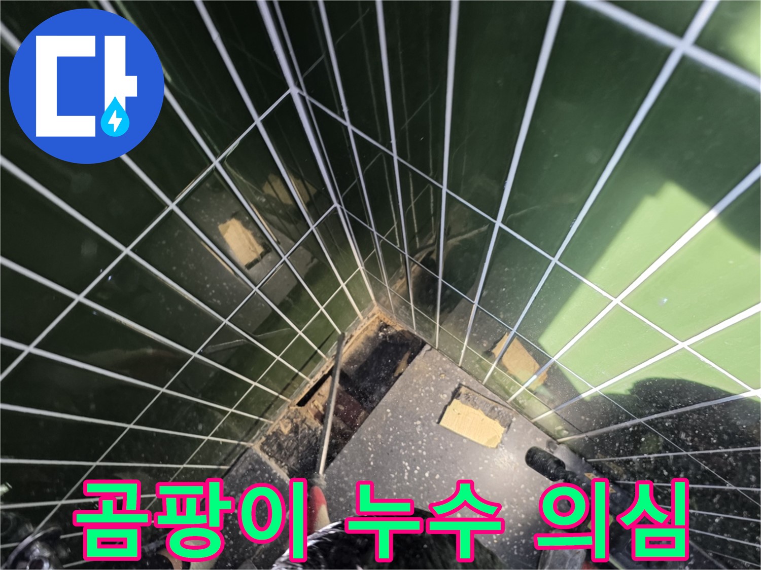 광진구 자양동 누수 - 욕조 주변 곰팡이, 누수 가능성 확인 중