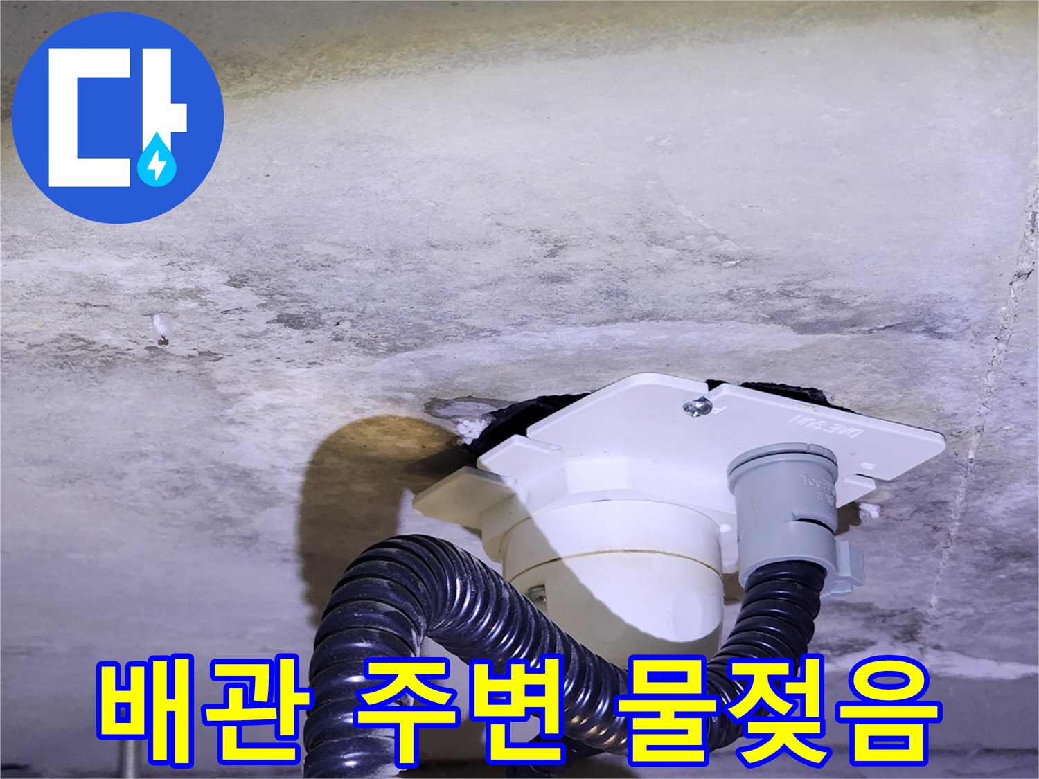 천장 배수구 하부의 젖은 콘크리트 면
