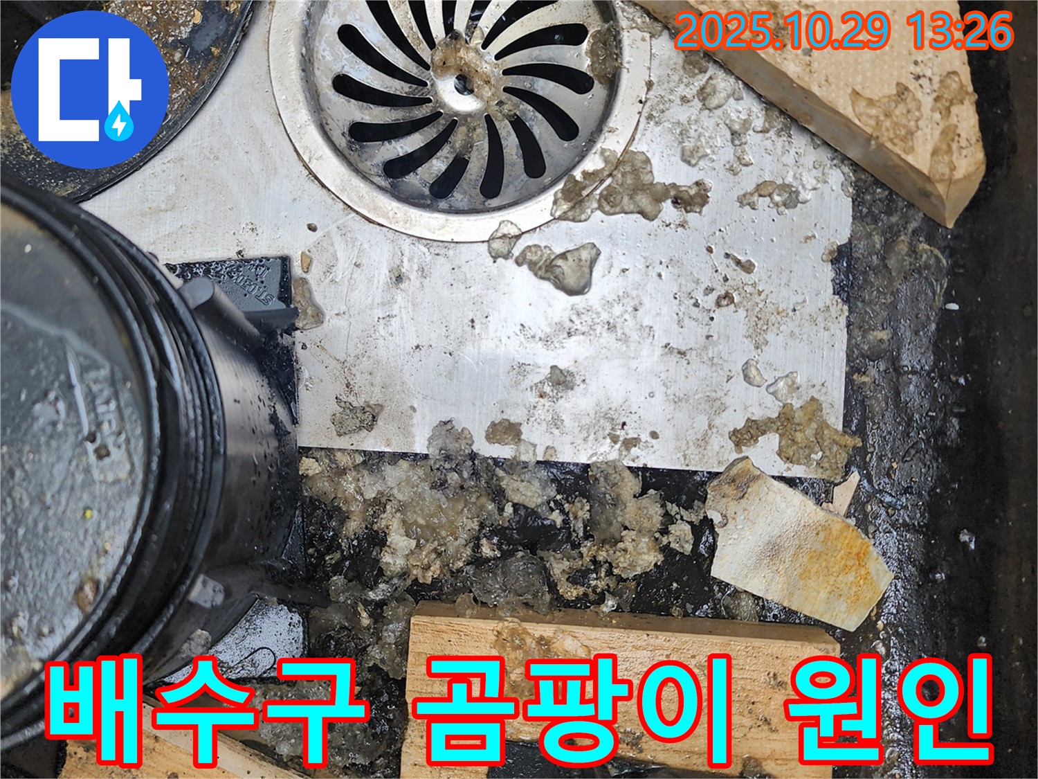배수구 주변 곰팡이 - 습기와 오염