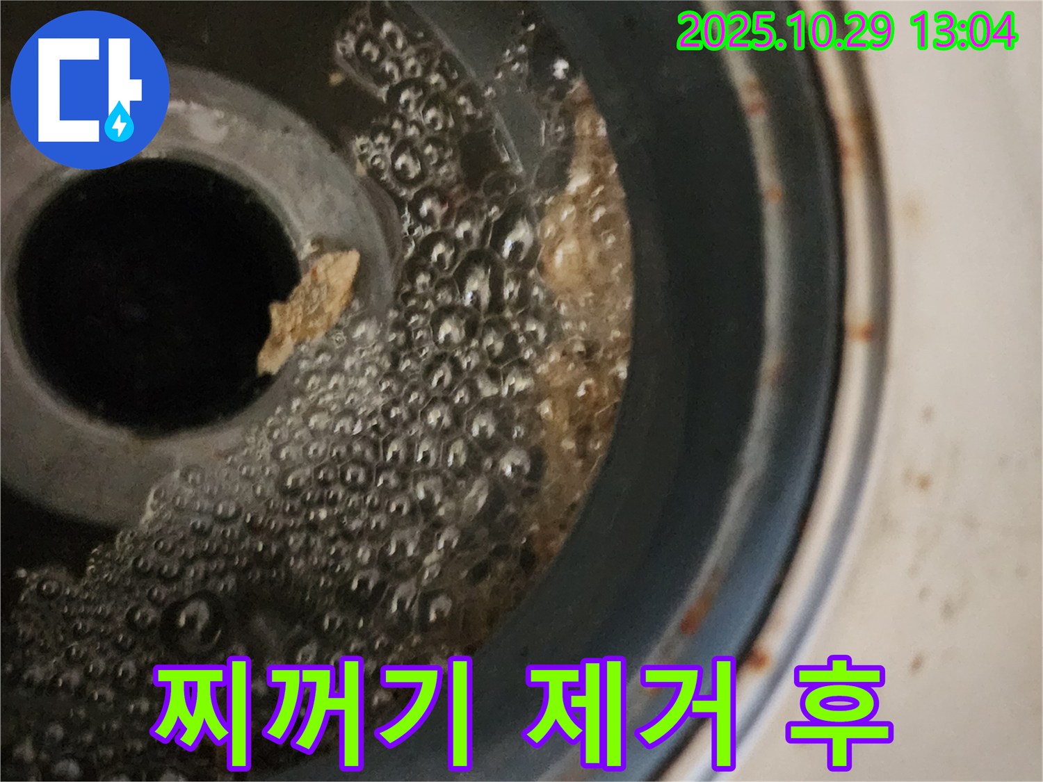 세탁기 배수구 청소 - 깨끗해진 배수구