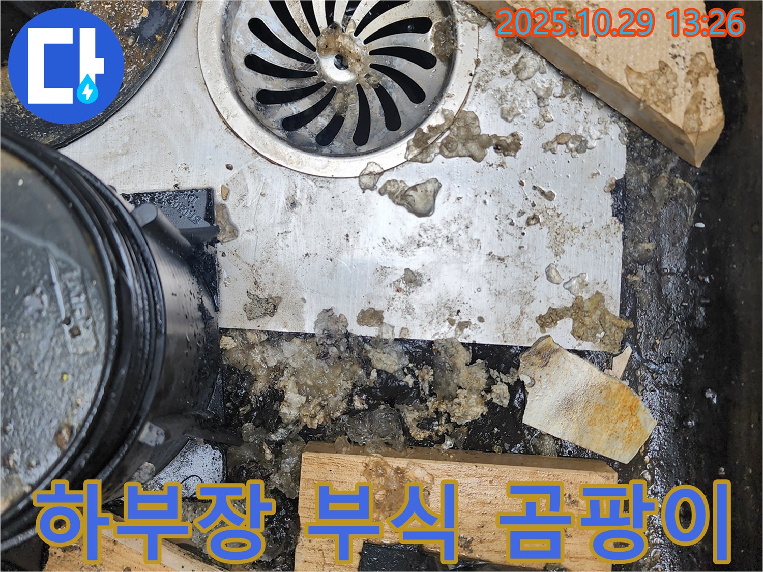 싱크대 하부장 부식과 곰팡이 - 건강 위협