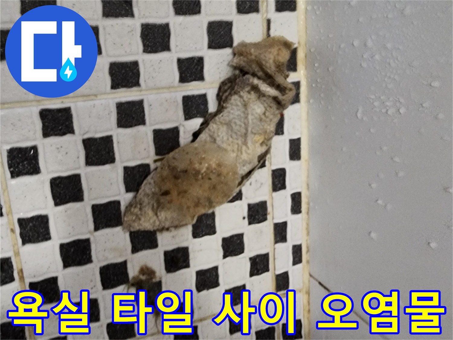 화장실-바닥-타일-틈새의-오물-및-찌꺼기