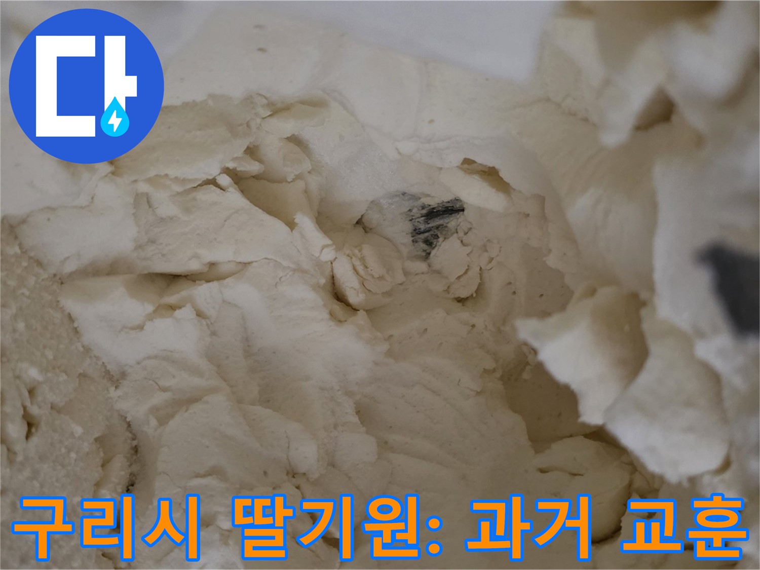 구리시 딸기원 누수 탐지 - 과거 점검의 교훈을 되새기며