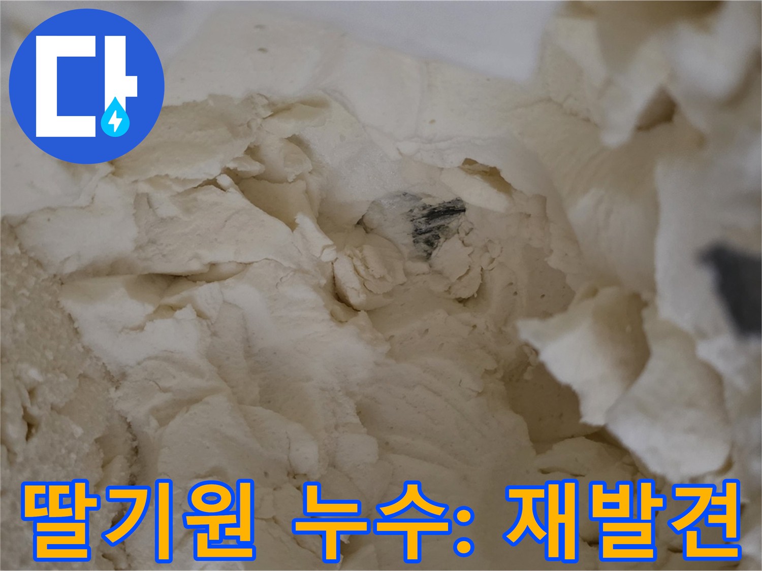 구리시 딸기원 누수 탐지 - 과거 점검 부위 재발견