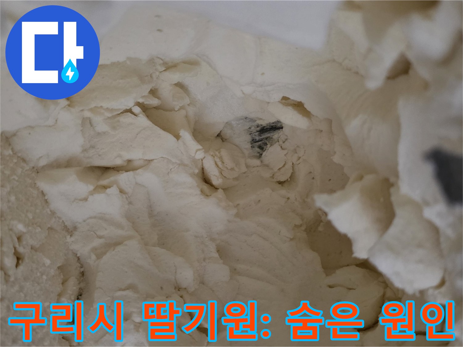 구리시 딸기원 누수 탐지 - 보온재 속 숨겨진 누수 원인 발견