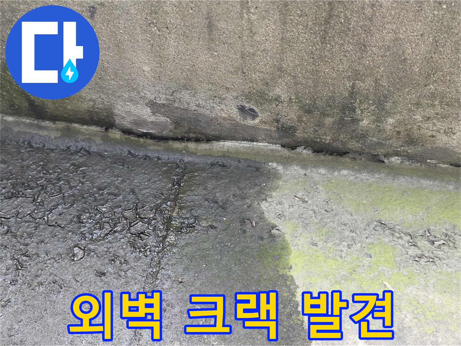 건물 외벽 크랙 초기 발견의 중요성 - 누수 예방을 위한 정기 점검
