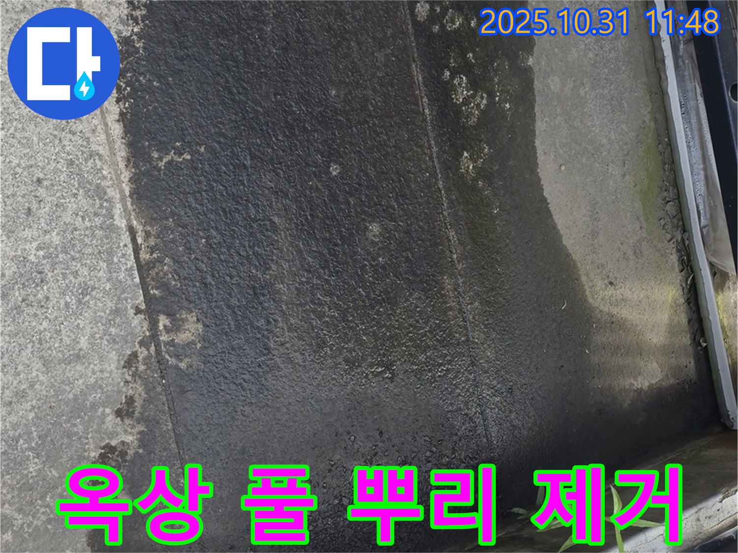 옥상 풀 뿌리 제거 - 완벽 시공