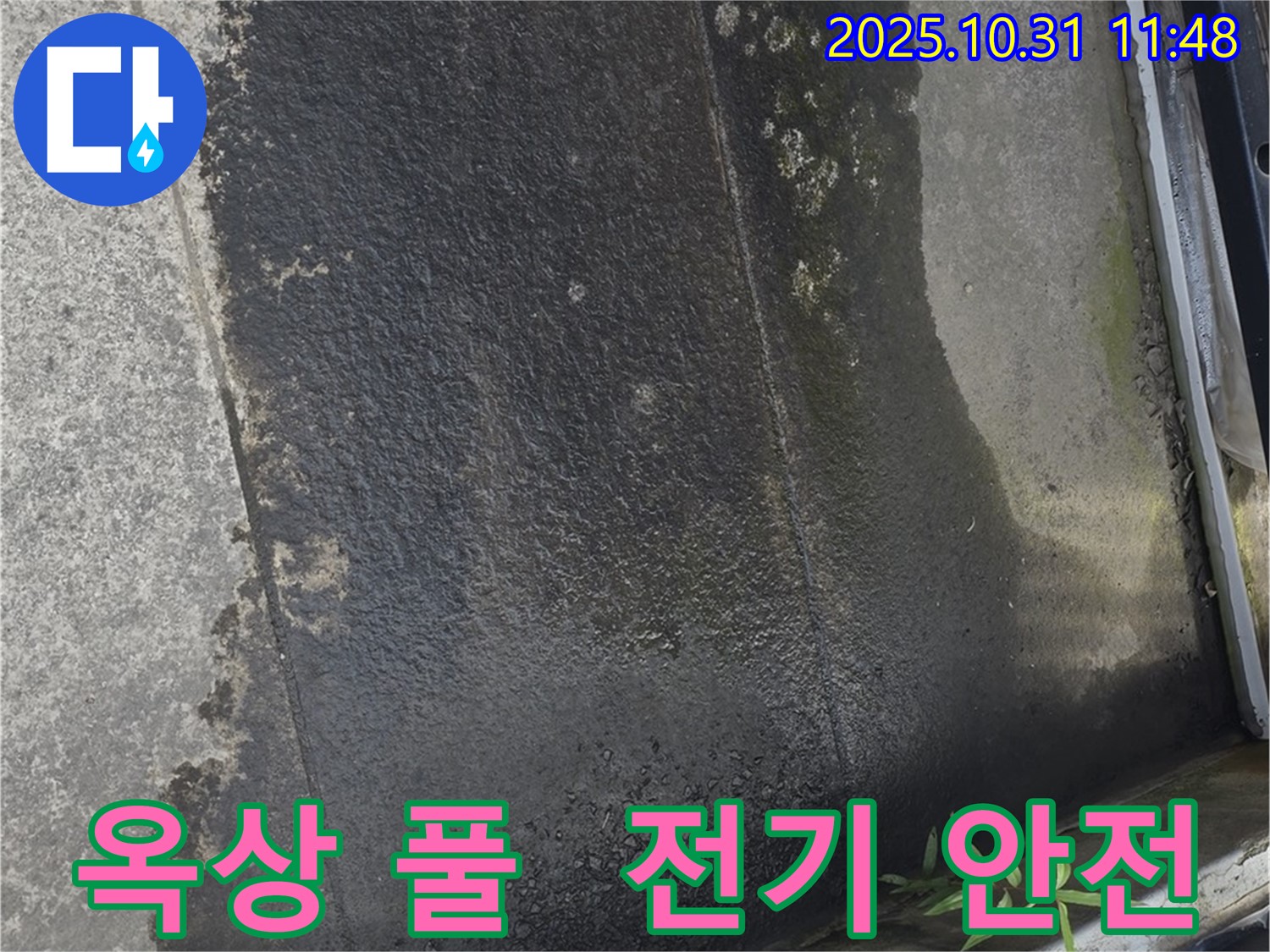 옥상 풀 - 전기 안전 위협