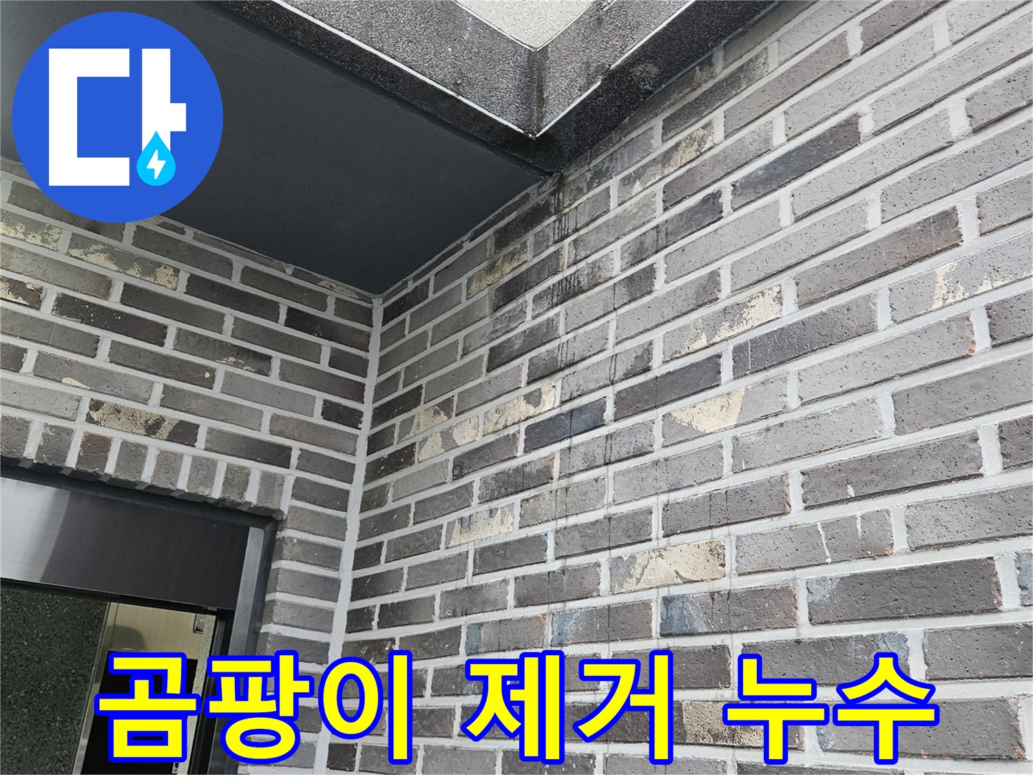 양평 용문 어수리 외벽 누수 - 곰팡이 제거, 위생 환경 조성