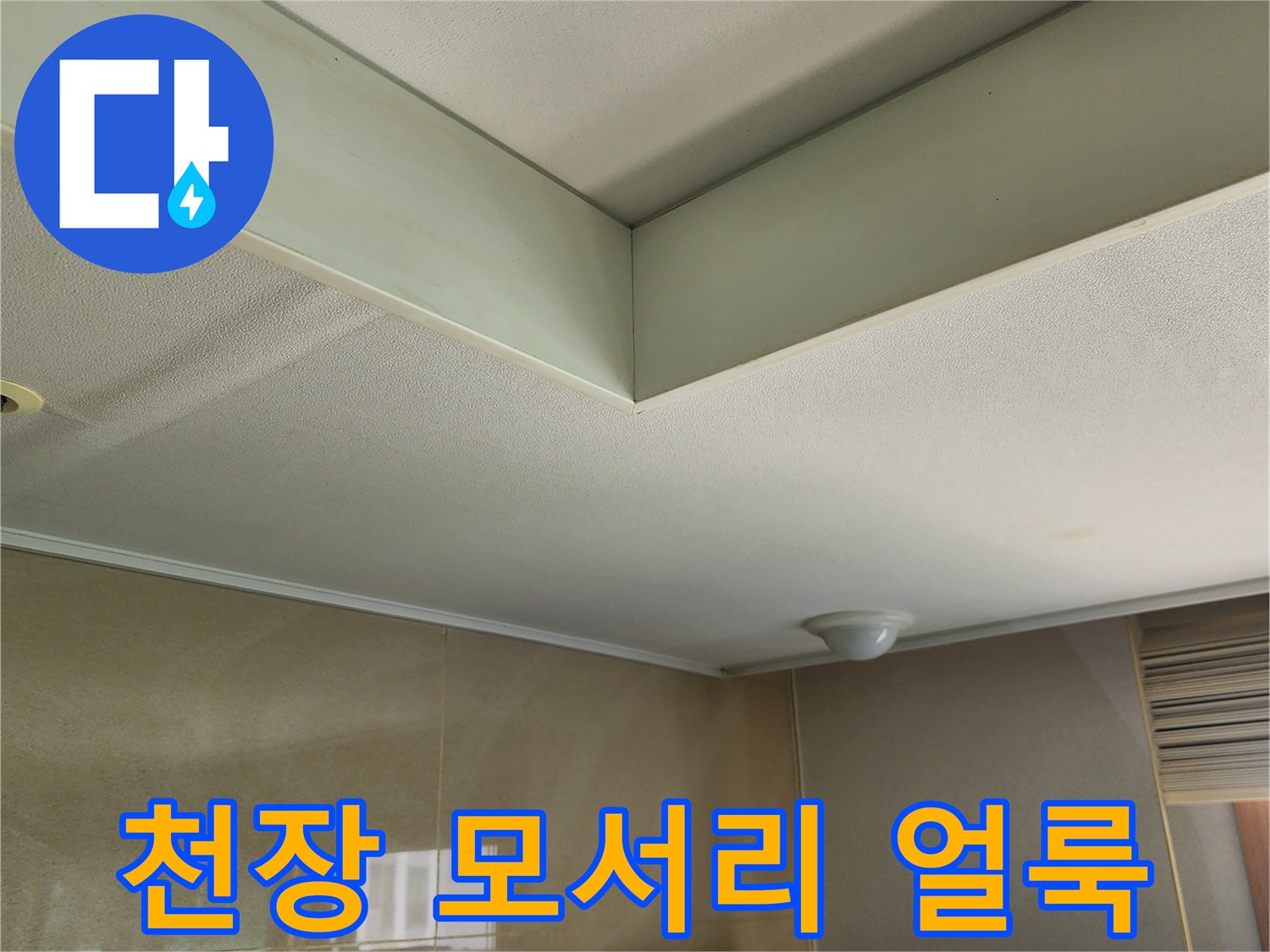 천장-모서리-라인을-따라가는-물자국