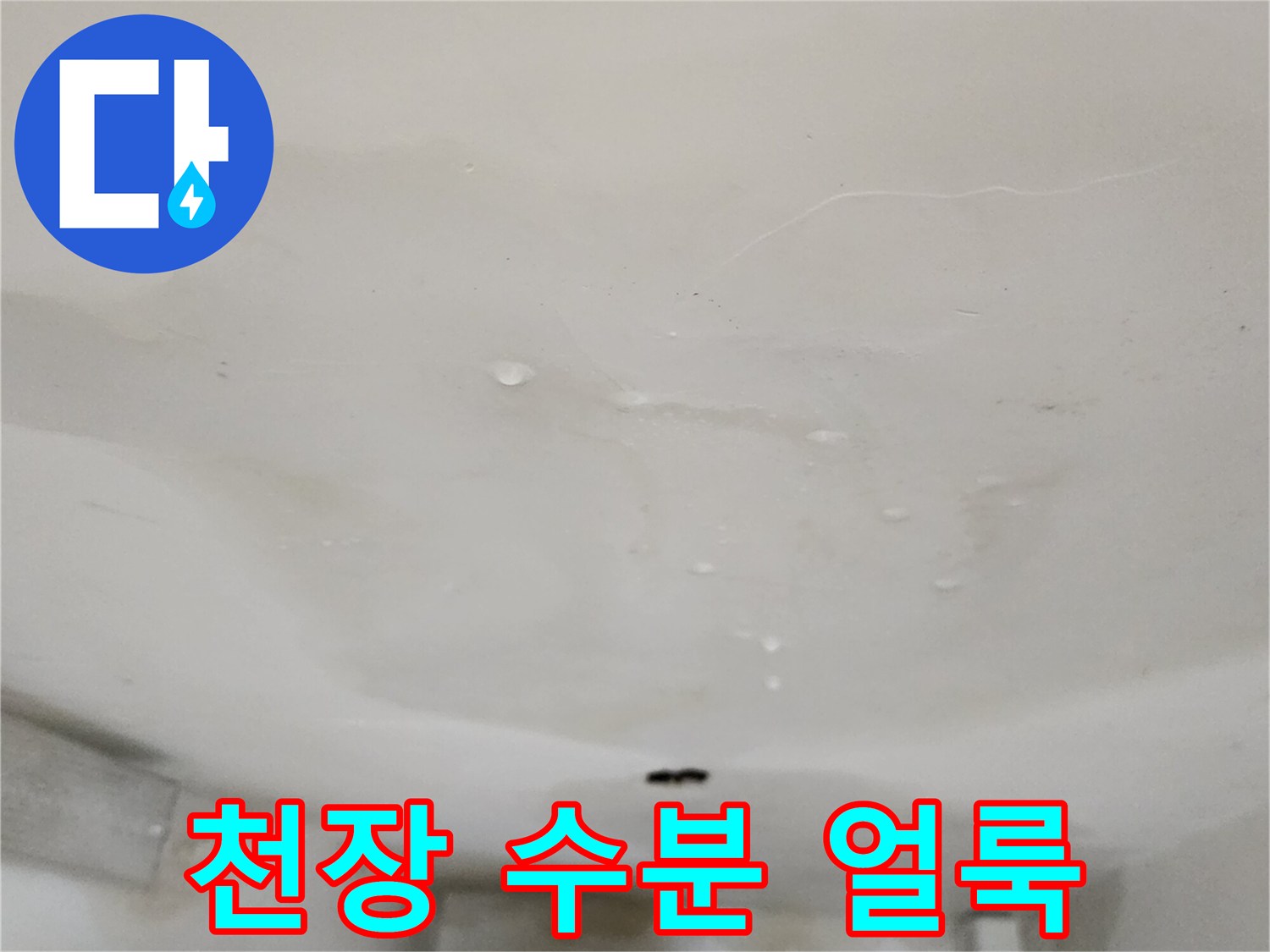 물기에 의해 변색된 천장 벽면의 모습