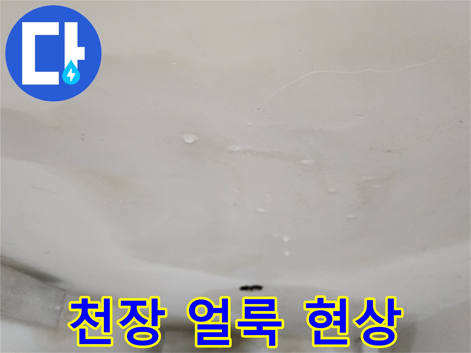 아파트-천장-물샘-얼룩-상태