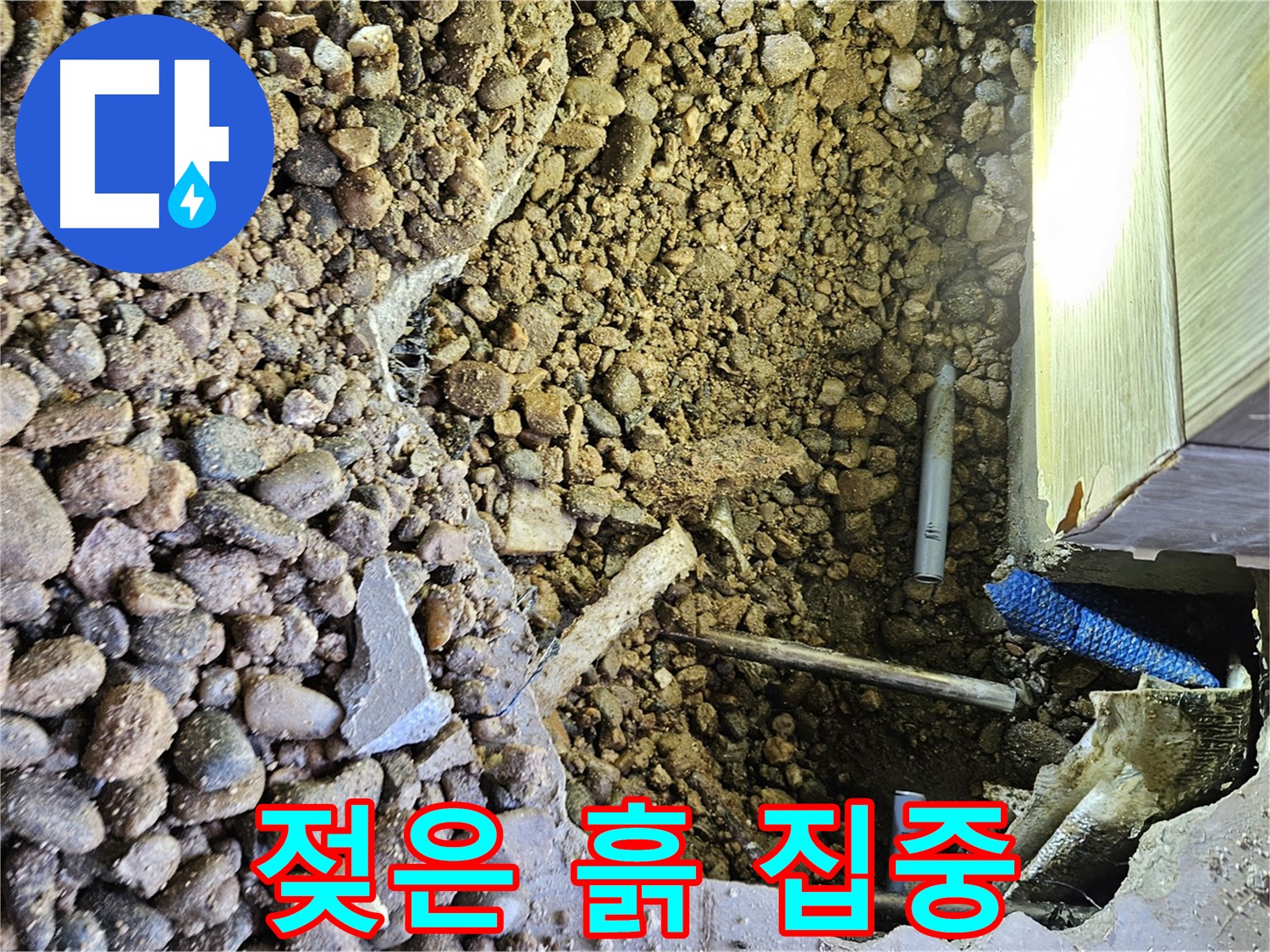 여주 가남면 월평리 누수 - 젖은 흙 집중 점검
