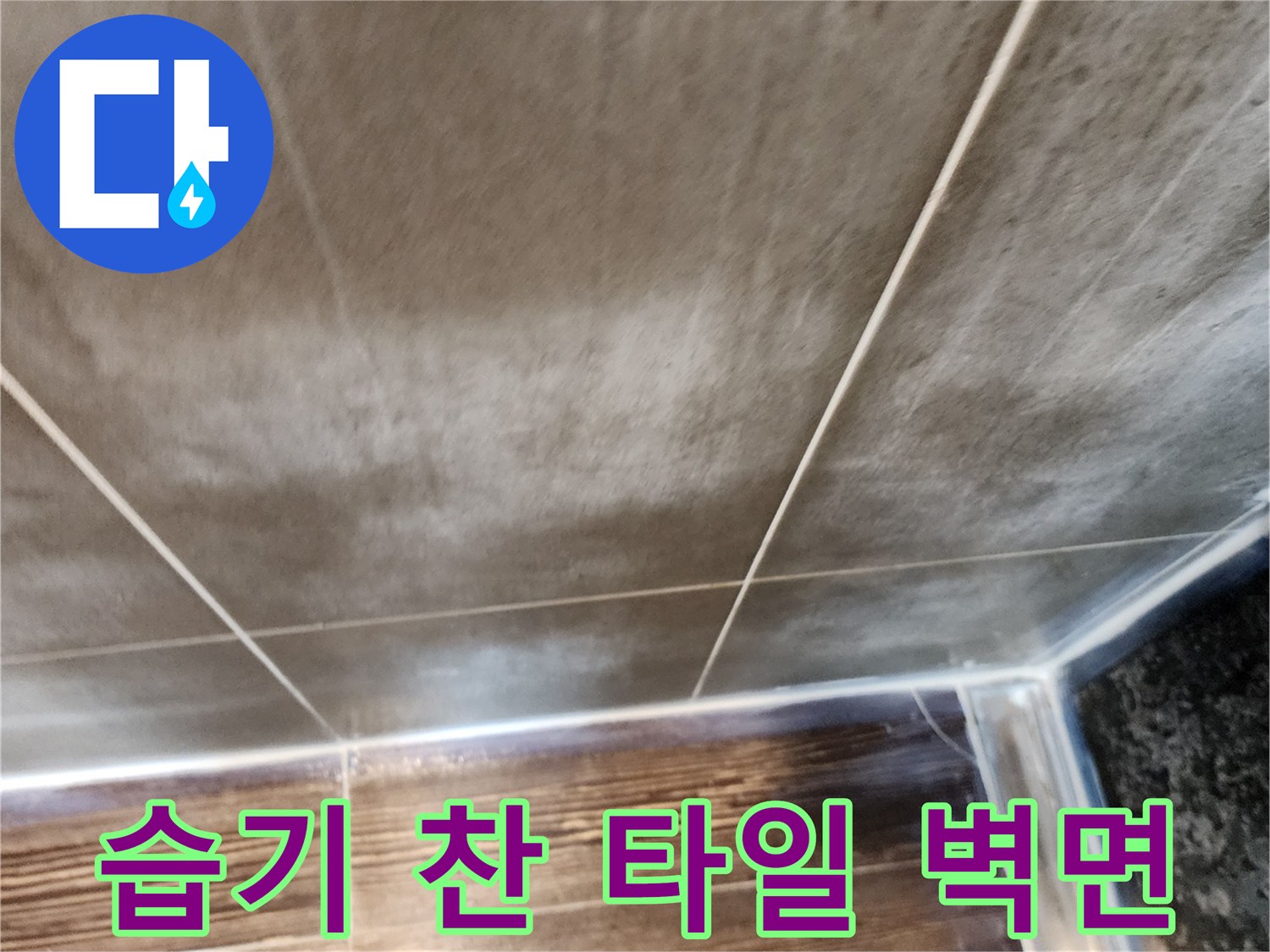 벽면 하단 타일의 습기 침투 및 변색된 현장 사진
