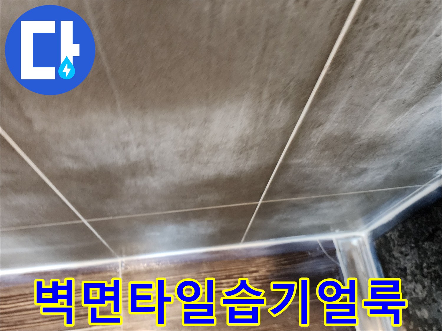 습기가 침투한 - 주방 벽 타일의 변색 부위