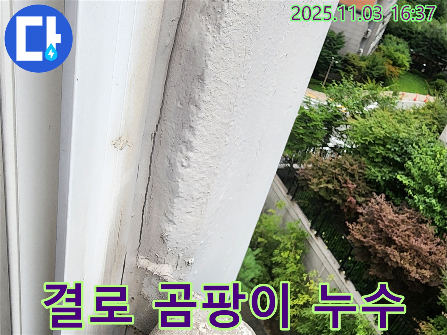 양주 콘크리트 누수 - 겨울철 결로와 곰팡이, 누수의 불쾌한 합작품