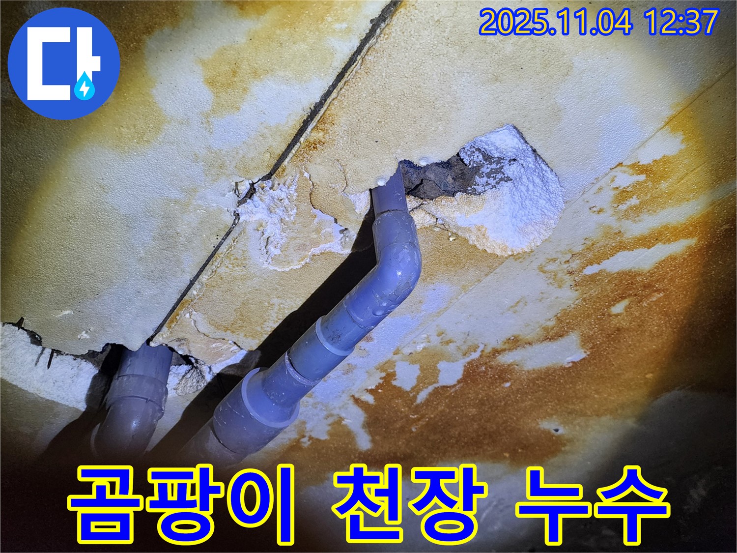 포천 소흘읍 - 곰팡이와 석회 자국이 심각한 천장 누수