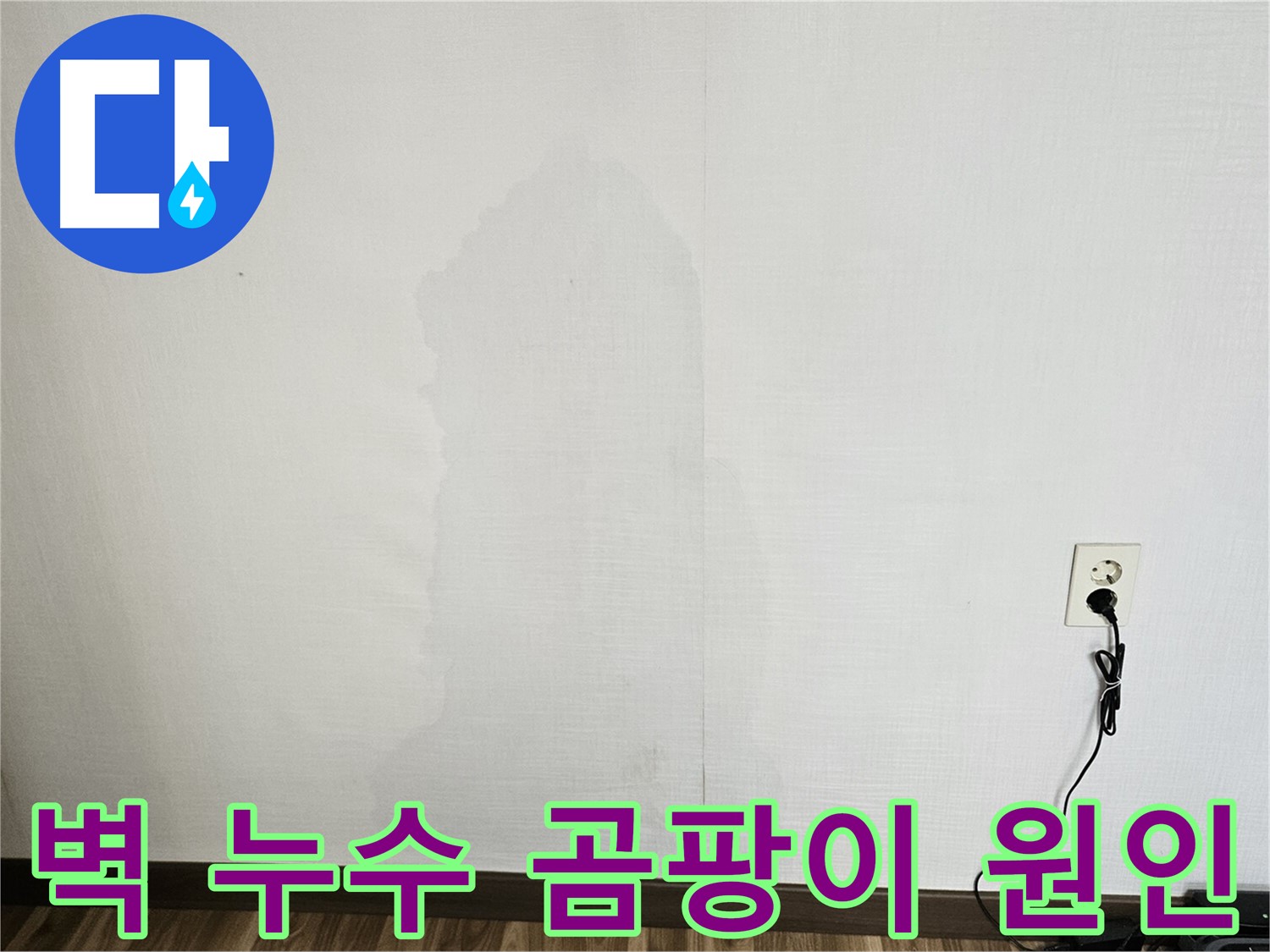 벽 누수로 인한 곰팡이 발생 - 누수탐지 및 곰팡이 제거 서비스
