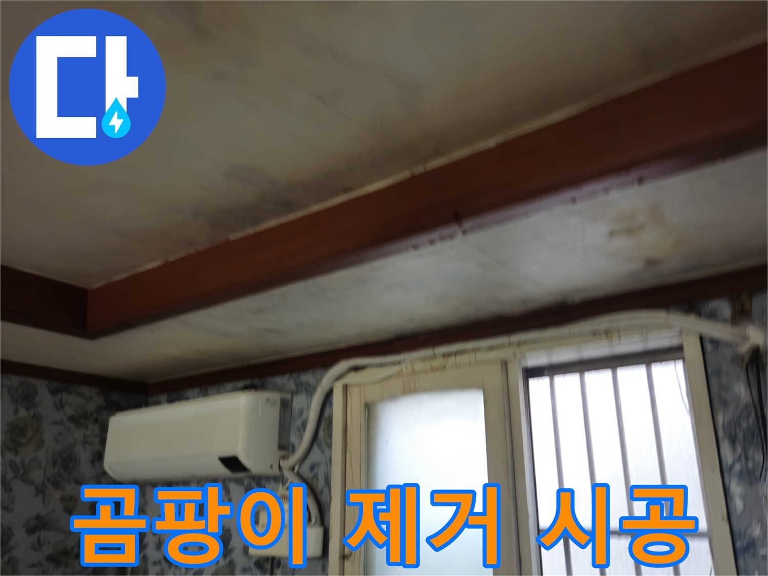 곰팡이로 인한 건물 피해 이미지