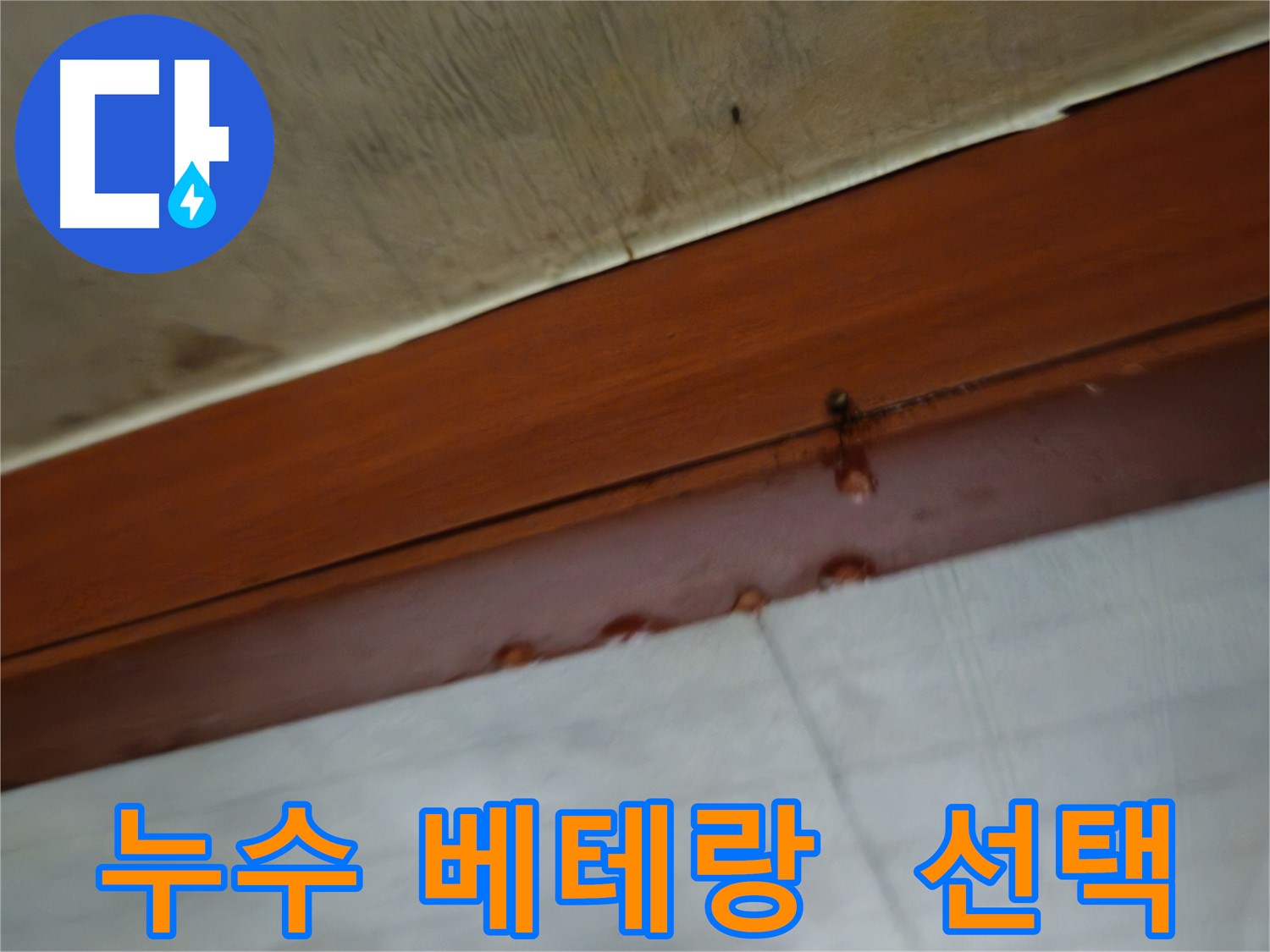 용산구 다세대 주택 누수탐지 전문 기술 이미지
