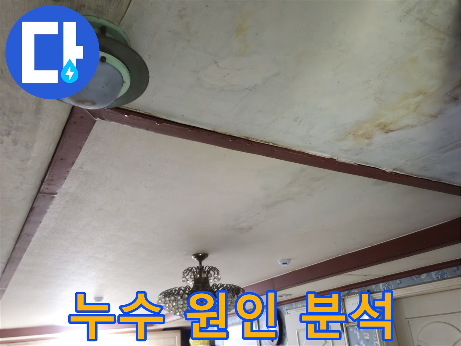 최첨단 장비 이용한 정확한 누수 원인 파악