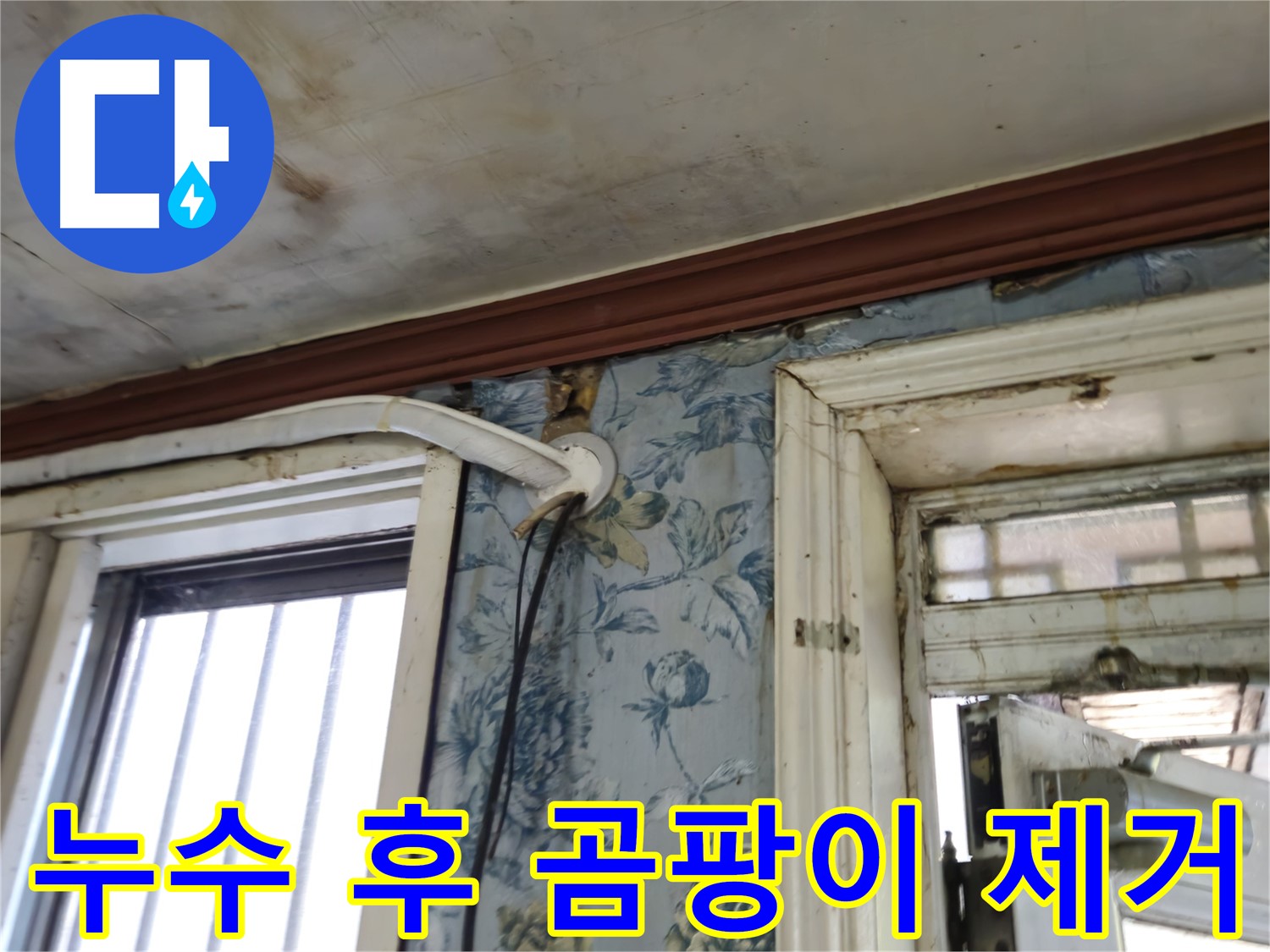 누수와 곰팡이 문제 동시 해결 - 쾌적한 실내 환경 조성