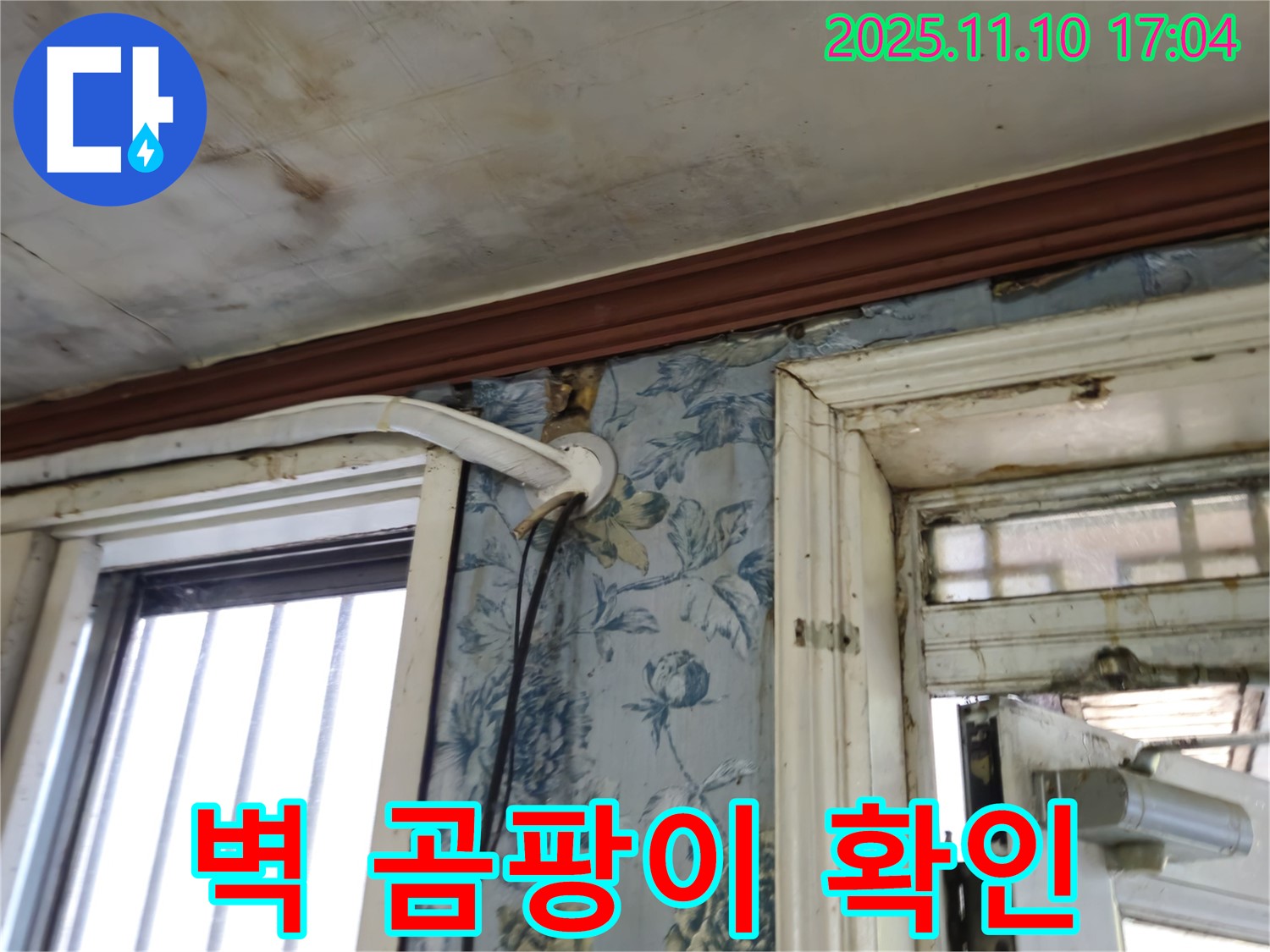 용산구 청파동 누수 현장 - 벽에 핀 곰팡이 확인