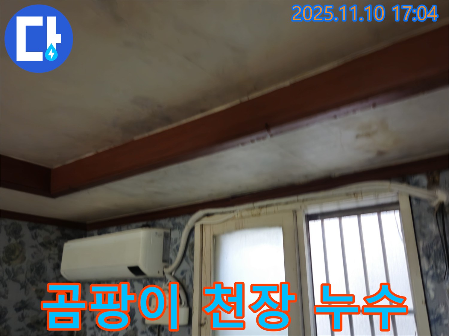 용산구 청파동 주택 - 곰팡이 핀 천장, 누수 흔적