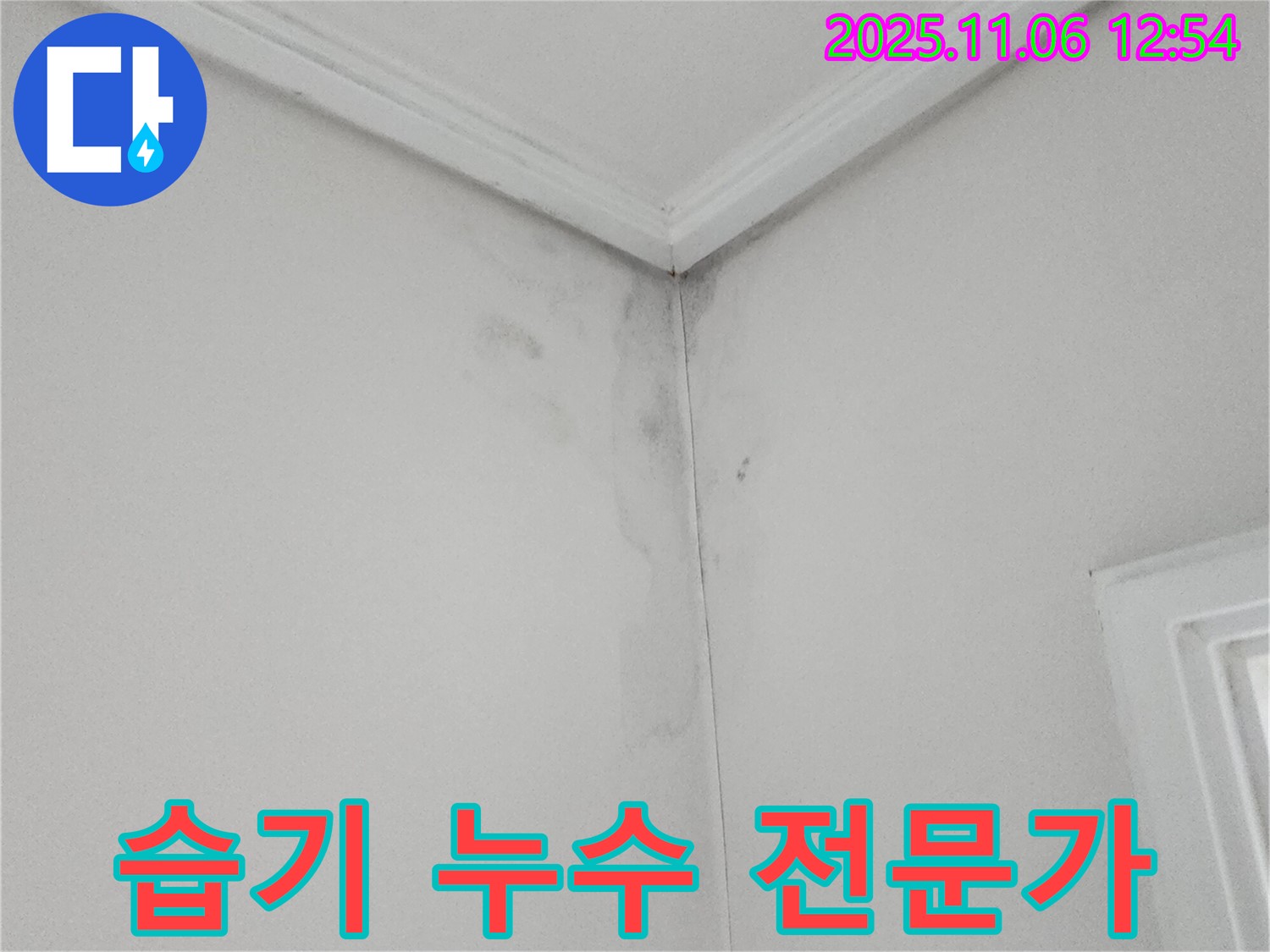 벽 습기 - 누수 전문가, 완벽 해결