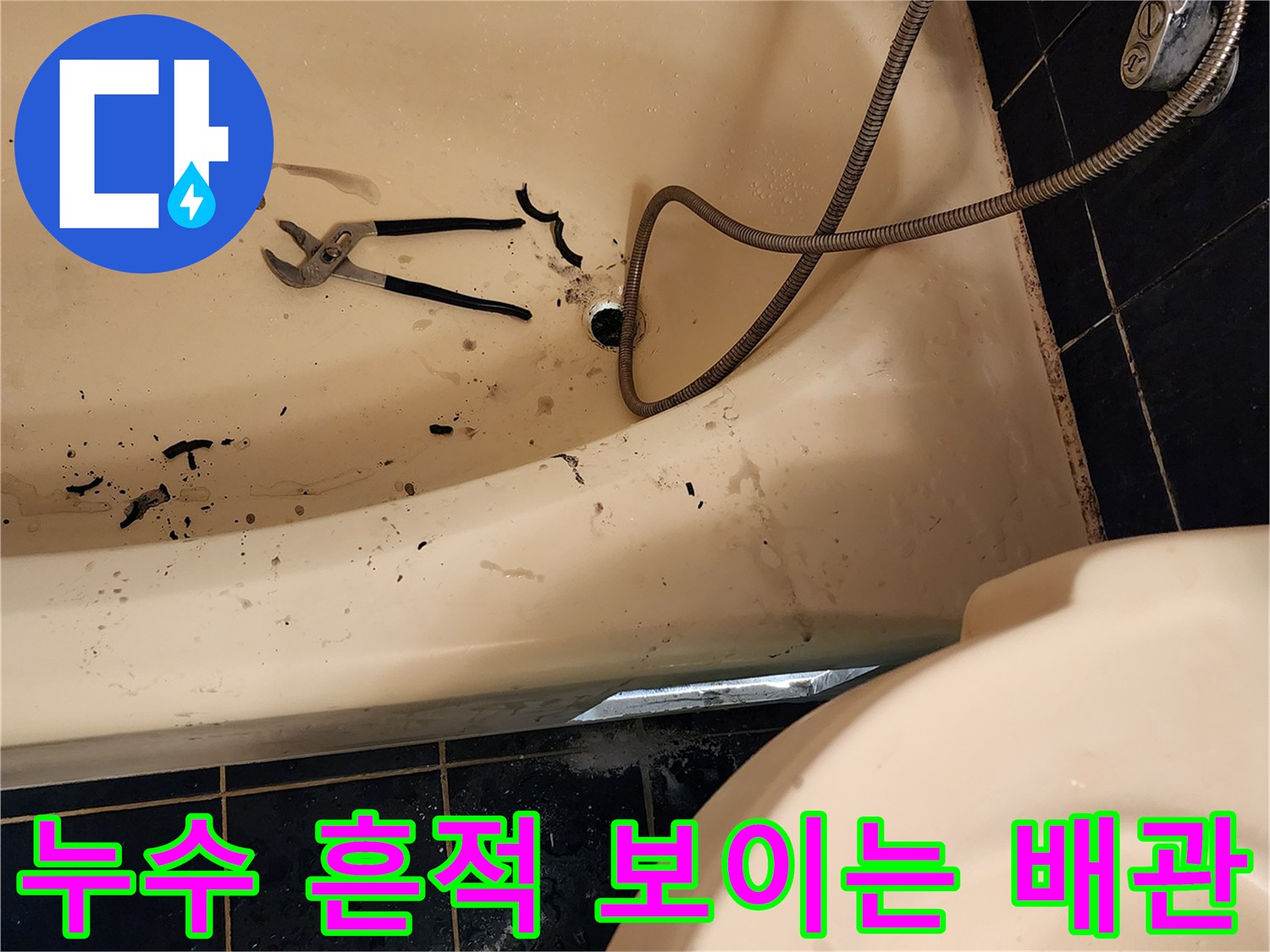 욕실 바닥-배수구 주변의 오염된 흔적 관찰
