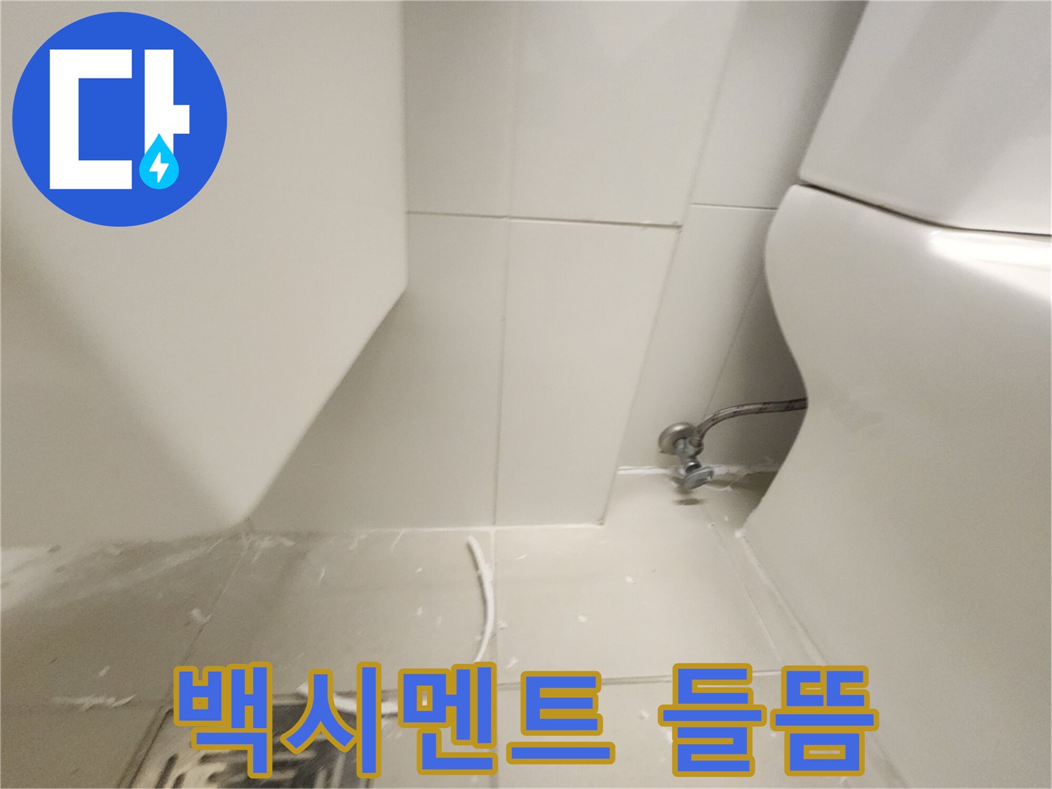 사우동 변기 하부 백시멘트 들뜸 확인 사진