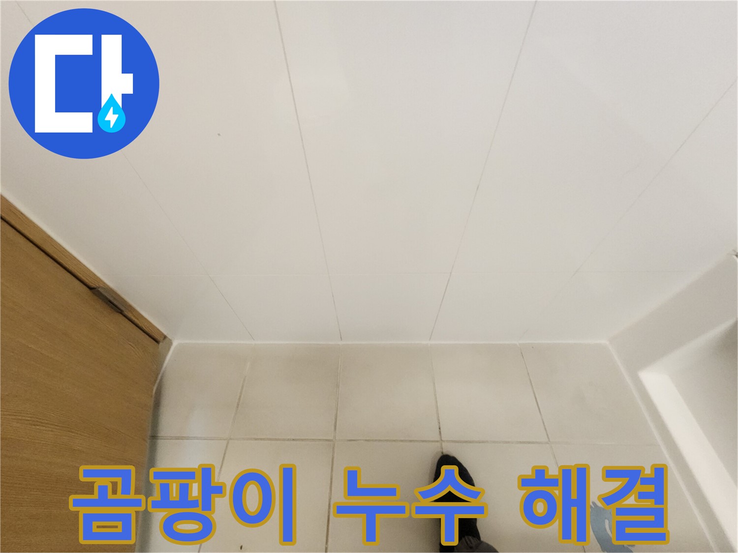 화장실 타일 틈새 - 곰팡이 누수 원인과 해결 방법
