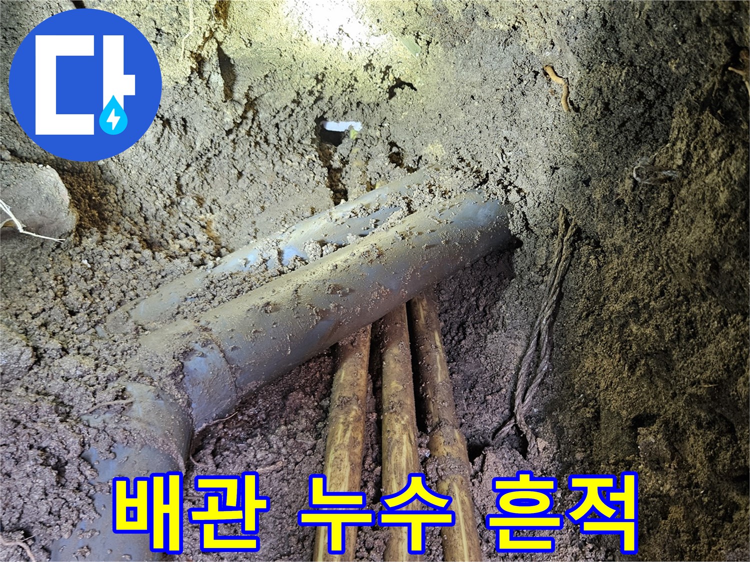 회정동 누수 - 배관 누수 흔적 확인 및 누수 지점 정확하게 탐지