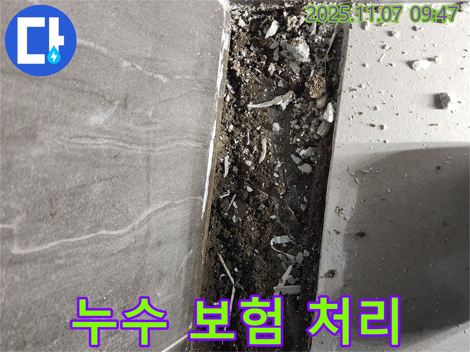 욕실 누수 - 보험 처리 전문가 상담