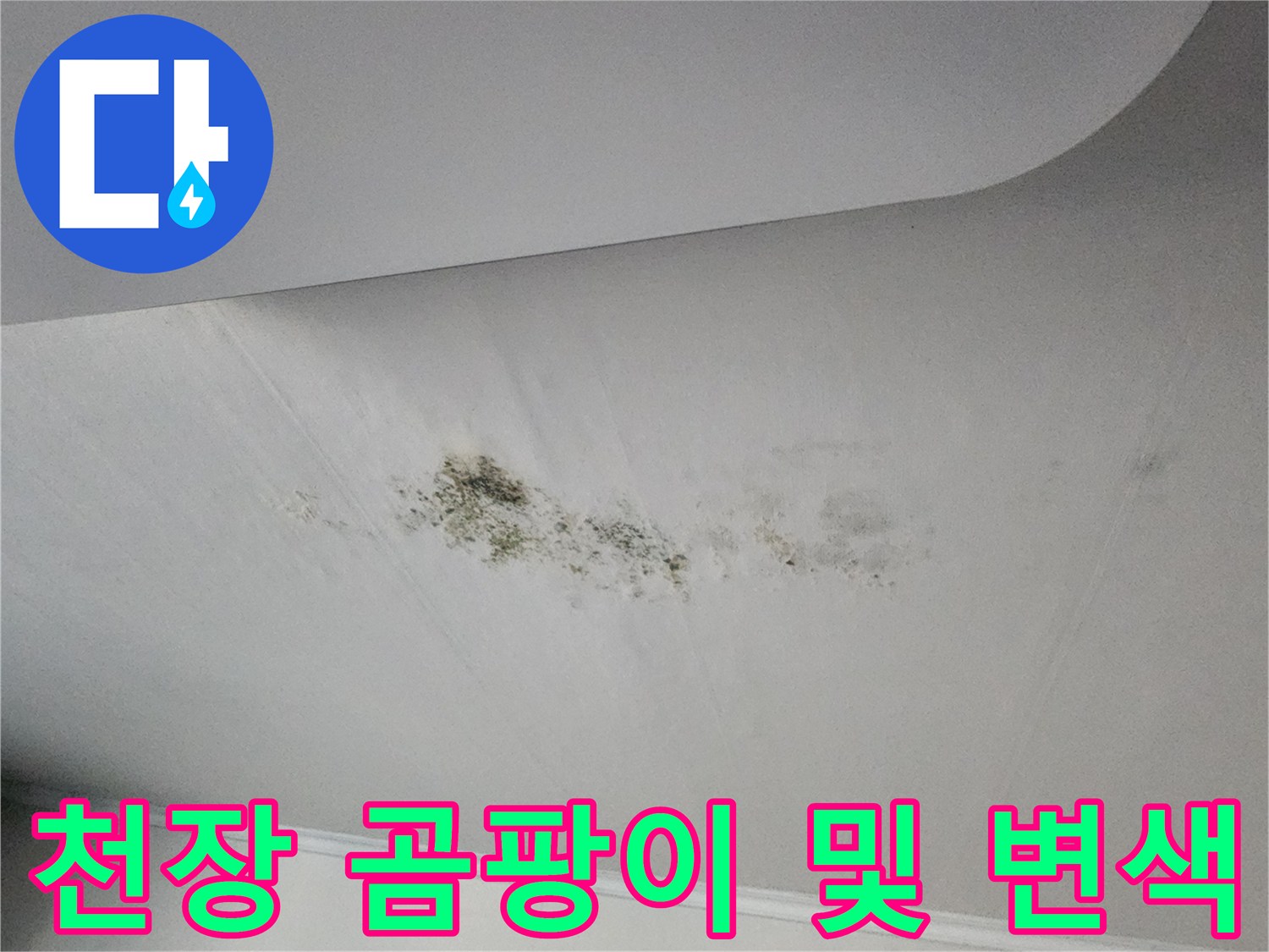 검게 번진 곰팡이와 물샘 흔적이 있는 천장