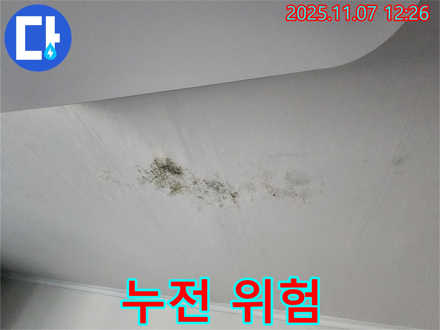 누수 - 전기 안전 점검