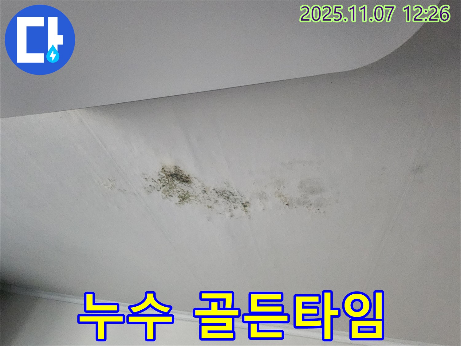 누수 초기 발견 - 빠른 조치가 중요합니다