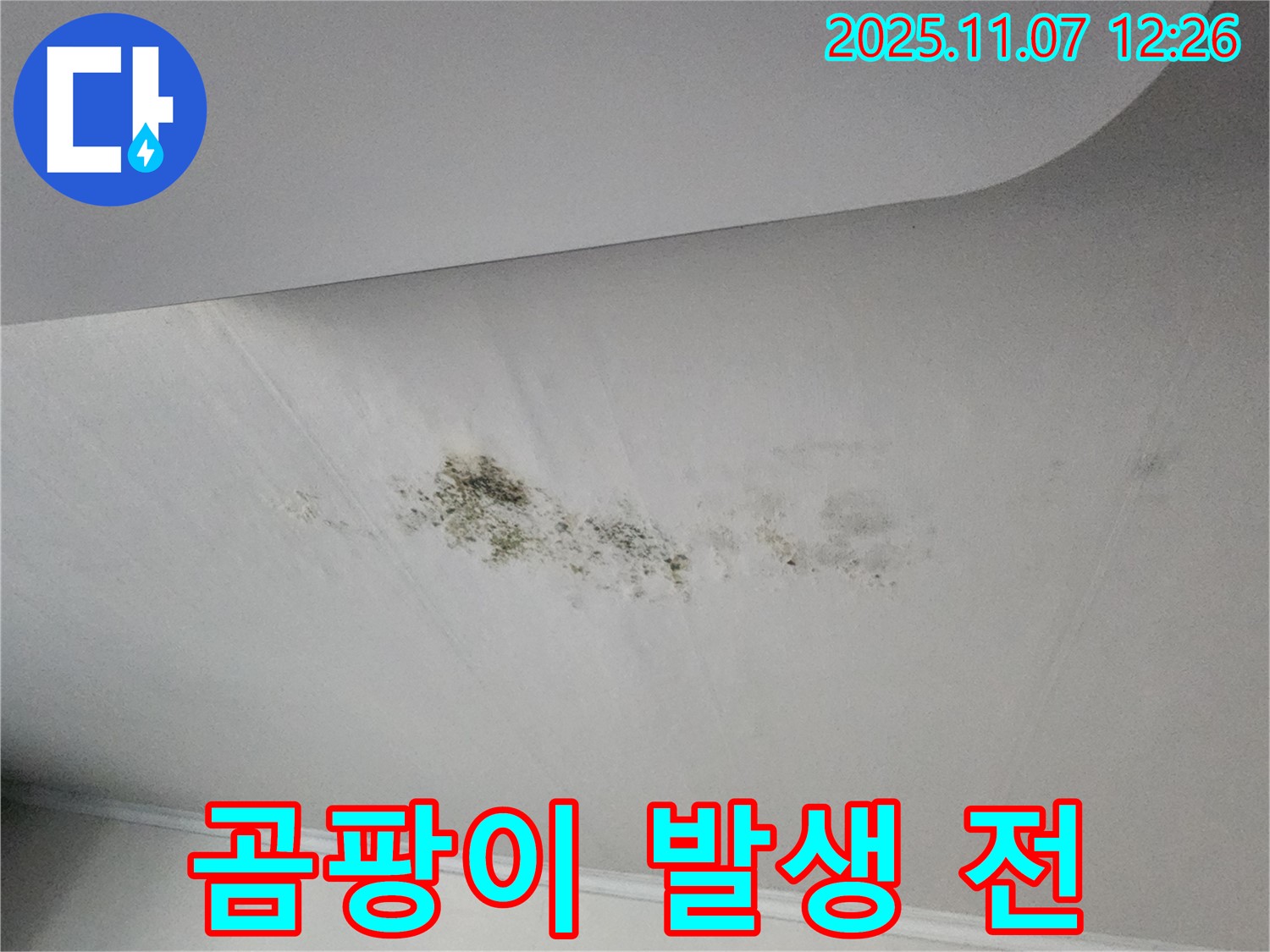 송산1동 천장 누수 - 곰팡이 발생 전 조치 중요