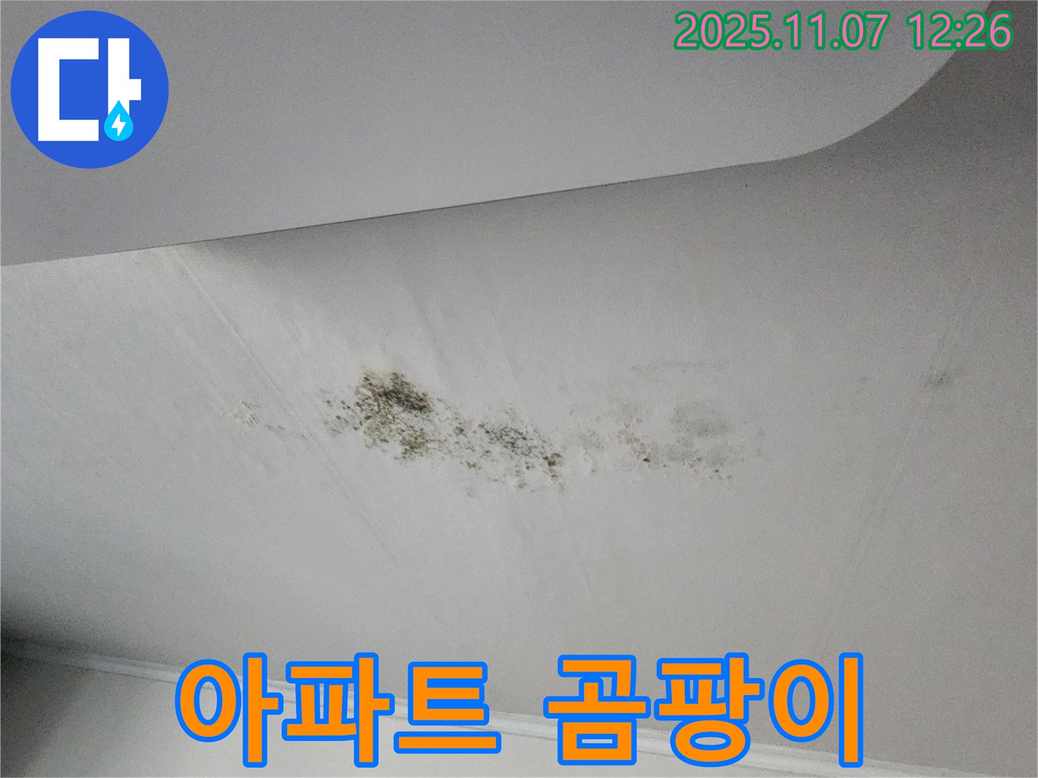 의정부 송산동 누수 - 아파트 천장 곰팡이