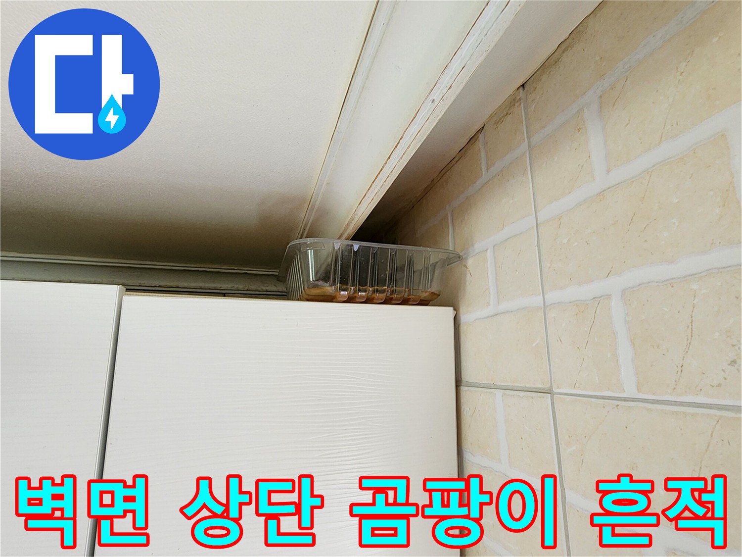 타일-상단-천장-경계의-습기-및-오염-상태