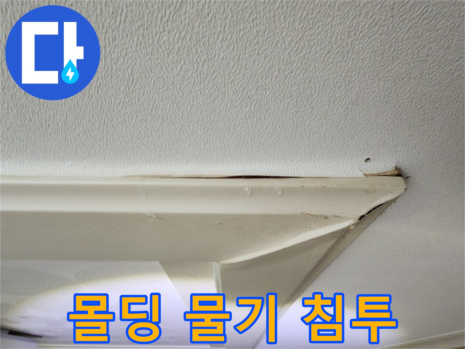 의정부 송산동 아파트 천장 몰딩 누수 흔적 사진