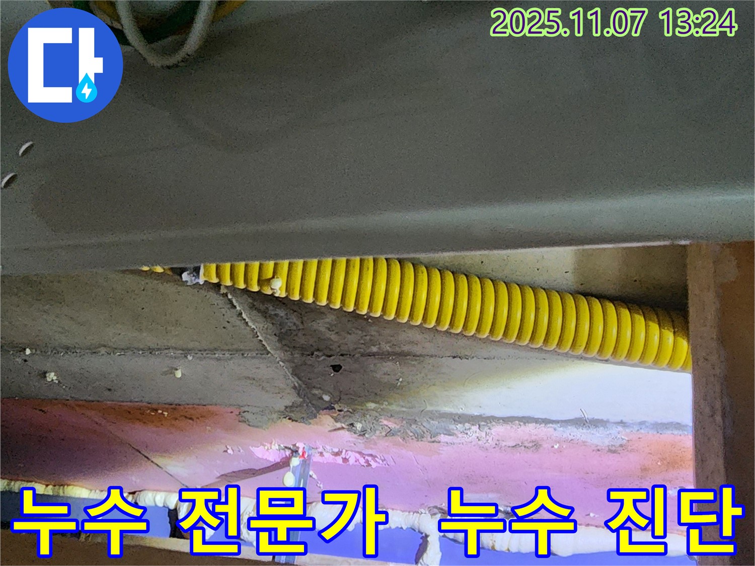 천장 누수 전문가 - 정확한 진단과 완벽한 해결