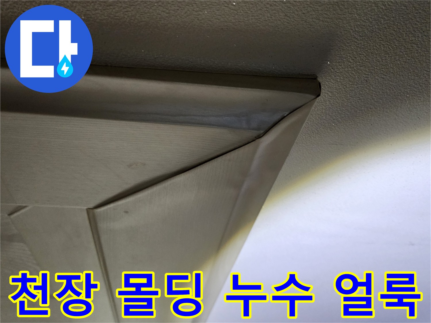 천장-몰딩-경계에-발생한-누수-흔적-사진