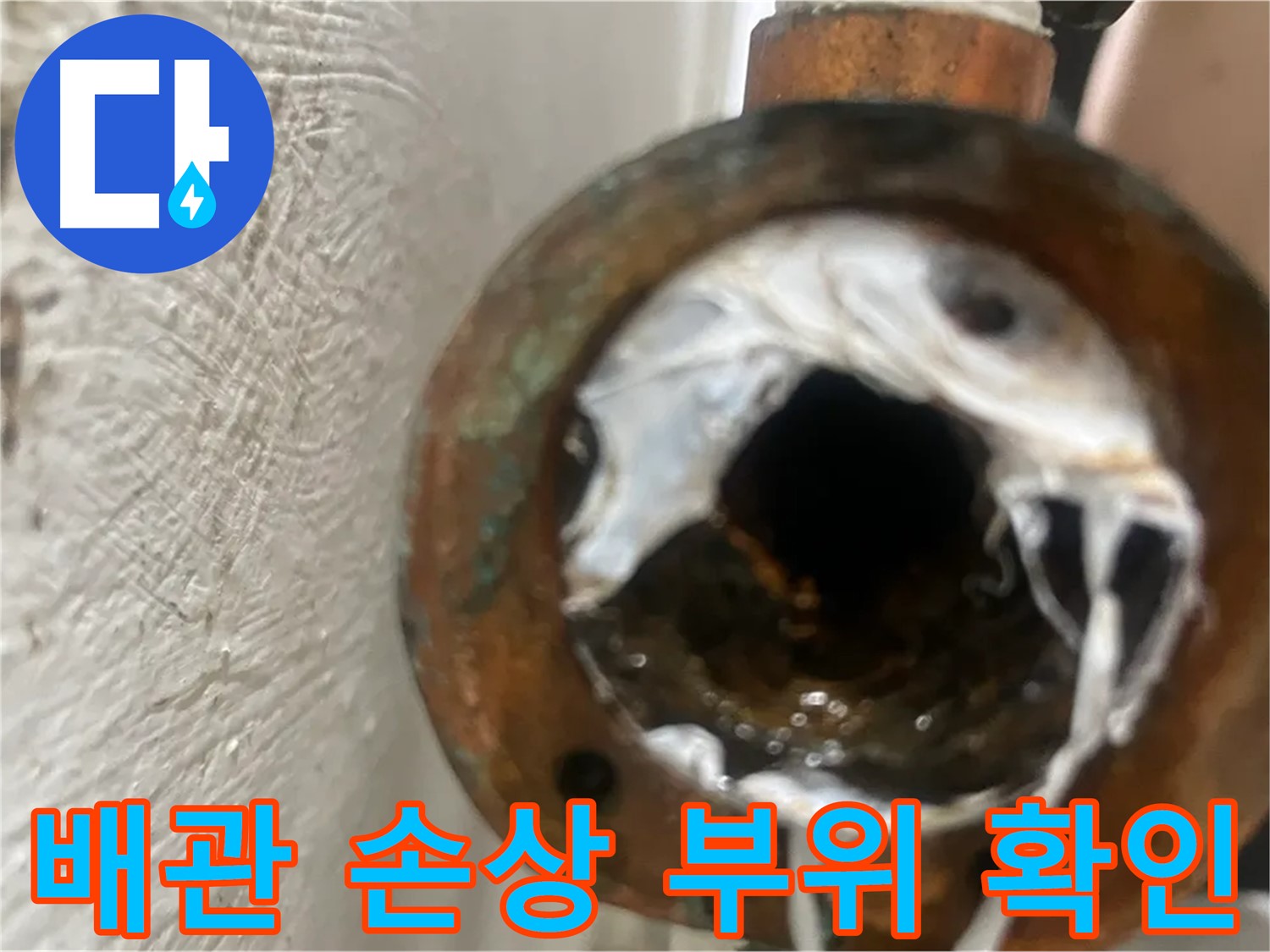 양천구 신월동 누수 문제 - 노후 배관 손상 확인
